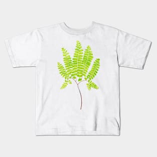 Northern maidenhair fern botanical illustration Kids T-Shirt